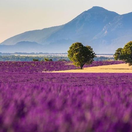 Joli T2 Jardin, Entre Mer/Verdon Салерн Екстер'єр фото